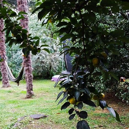 Adda River Casa Vacanza カロルツィオコルテ エクステリア 写真