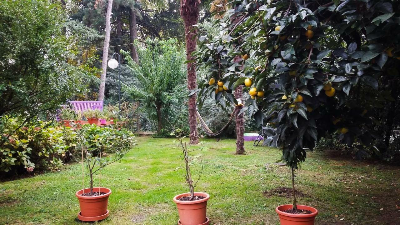 Adda River Casa Vacanza カロルツィオコルテ エクステリア 写真
